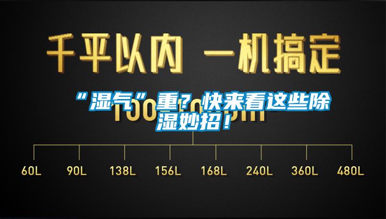 “濕氣”重？快來看這些除濕妙招！