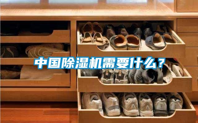 中國除濕機需要什么？
