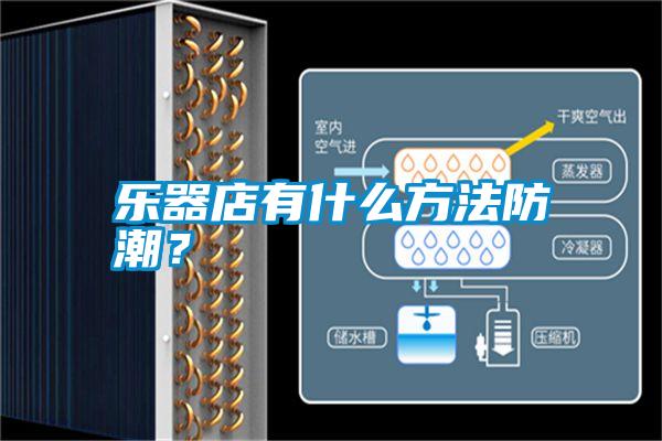 樂(lè)器店有什么方法防潮？