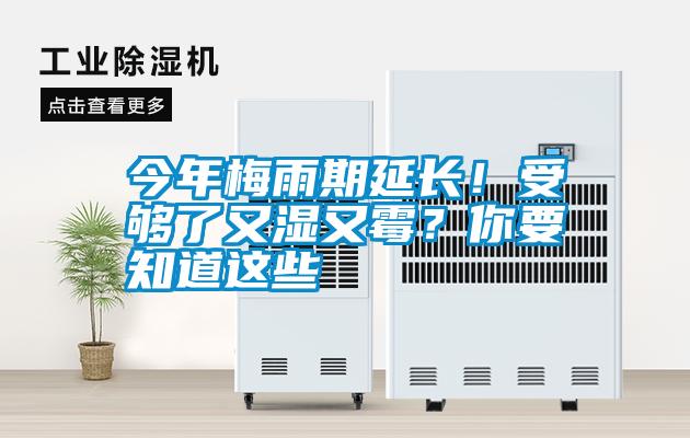 今年梅雨期延長(zhǎng)！受夠了又濕又霉？你要知道這些
