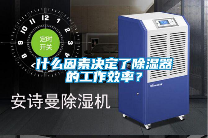 什么因素決定了除濕器的工作效率？