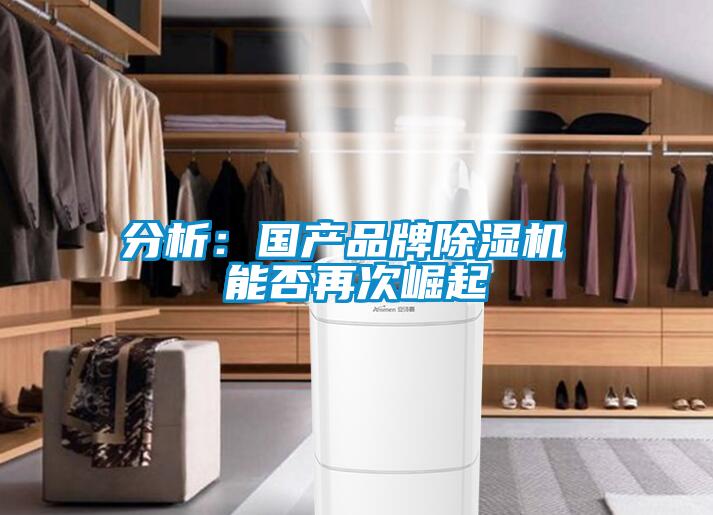 分析:國產品牌除濕機 能否再次崛起