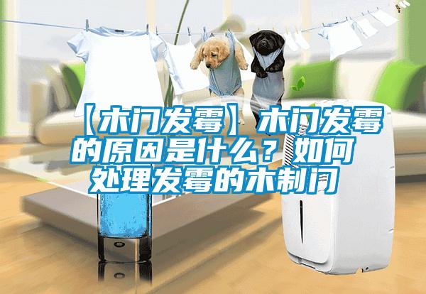 【木門發霉】木門發霉的原因是什么？如何處理發霉的木制門