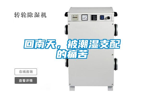 回南天，被潮濕支配的痛苦