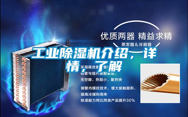 工業(yè)除濕機(jī)介紹，詳情，了解