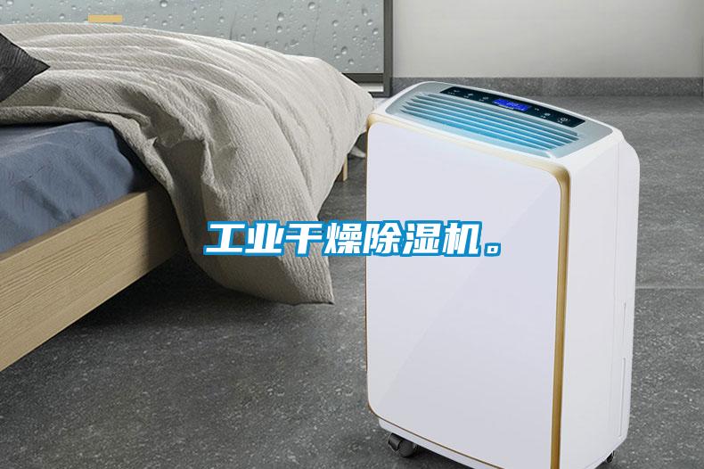 工業(yè)干燥除濕機。
