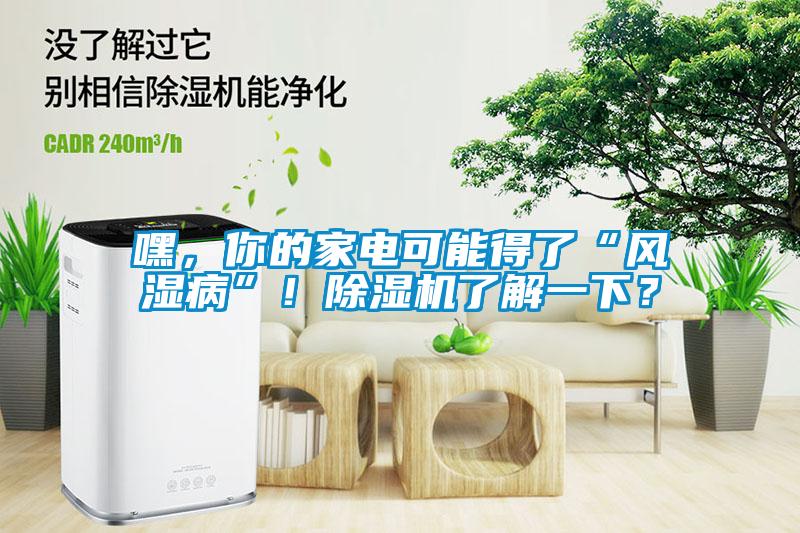 嘿，你的家電可能得了“風濕病”！除濕機了解一下？