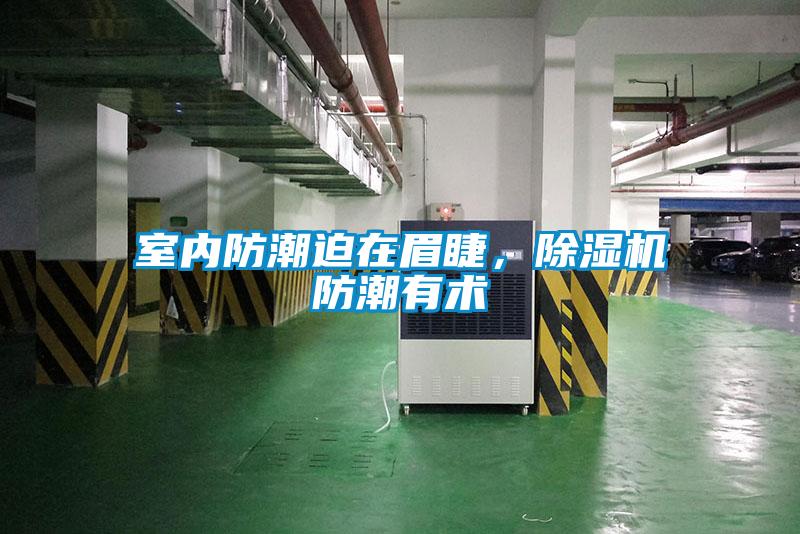 室內防潮迫在眉睫，除濕機防潮有術