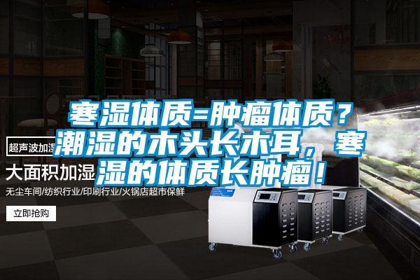 寒濕體質=腫瘤體質？潮濕的木頭長木耳，寒濕的體質長腫瘤！