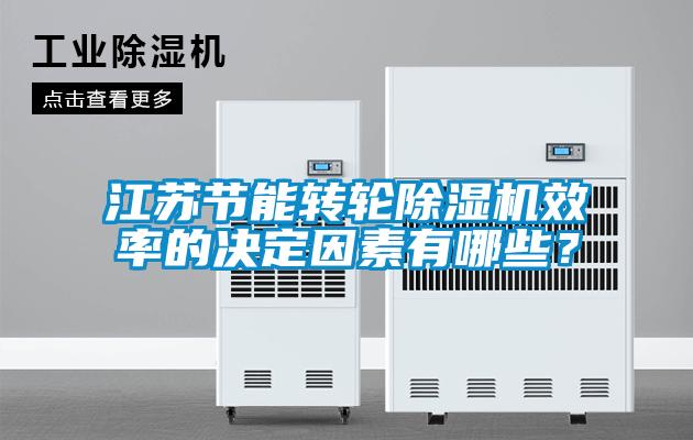 江蘇節(jié)能轉(zhuǎn)輪除濕機效率的決定因素有哪些？