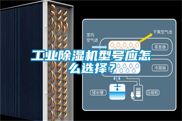 工業除濕機型號應怎么選擇？