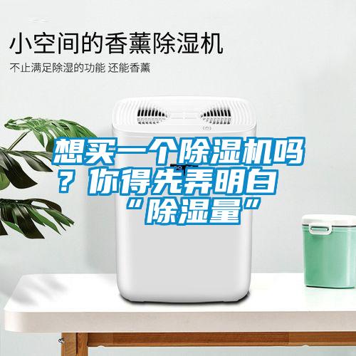 想買一個(gè)除濕機(jī)嗎？你得先弄明白“除濕量”