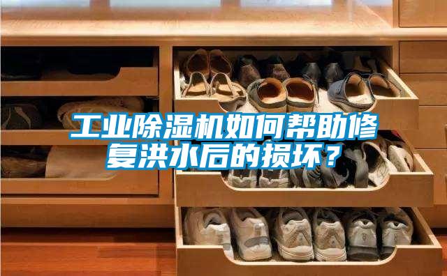 工業除濕機如何幫助修復洪水后的損壞？