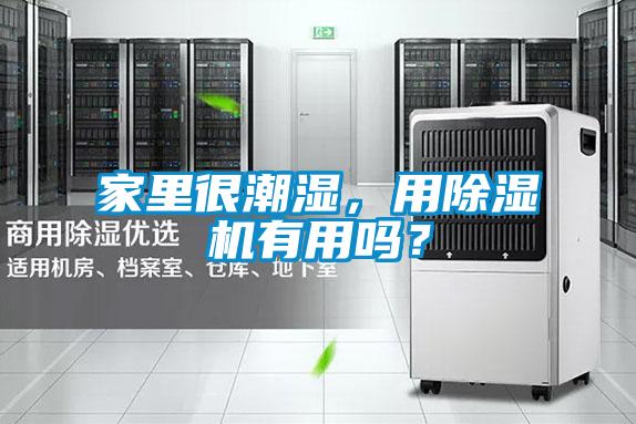 家里很潮濕，用除濕機有用嗎？