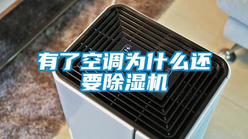 有了空調(diào)為什么還要除濕機