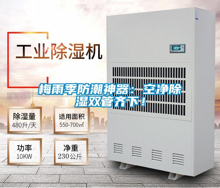 梅雨季防潮神器：空凈除濕雙管齊下！