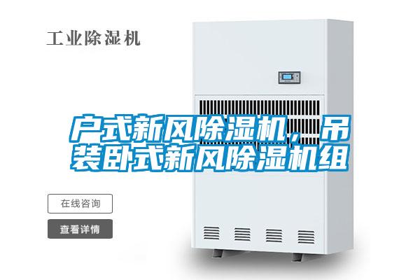 戶式新風除濕機,吊裝臥式新風除濕機組