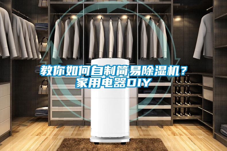 教你如何自制簡(jiǎn)易除濕機(jī)？家用電器DIY