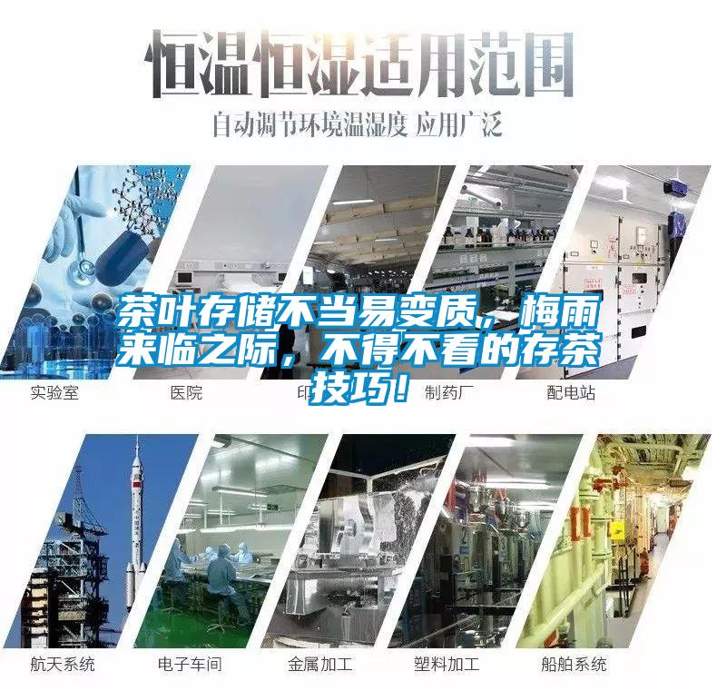 茶葉存儲不當易變質，梅雨來臨之際，不得不看的存茶技巧！