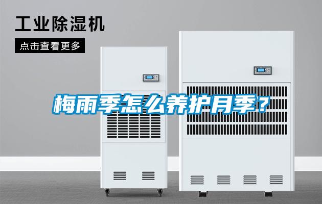 梅雨季怎么養(yǎng)護(hù)月季？