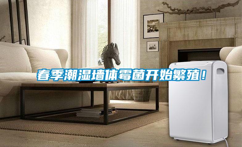 春季潮濕墻體霉菌開(kāi)始繁殖！