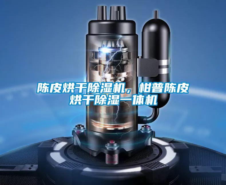 陳皮烘干除濕機，柑普陳皮烘干除濕一體機