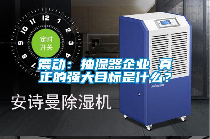 震動：抽濕器企業(yè) 真正的強(qiáng)大目標(biāo)是什么？
