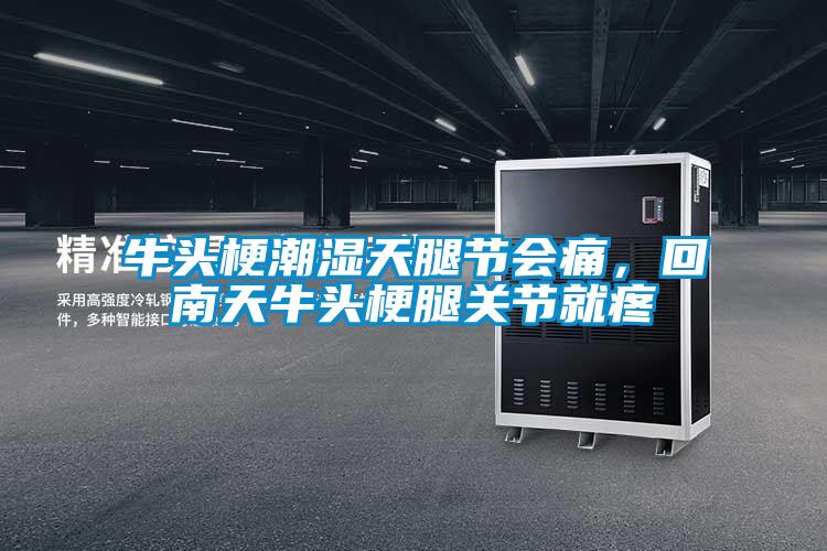 牛頭梗潮濕天腿節(jié)會痛,回南天牛頭梗腿關(guān)節(jié)就疼