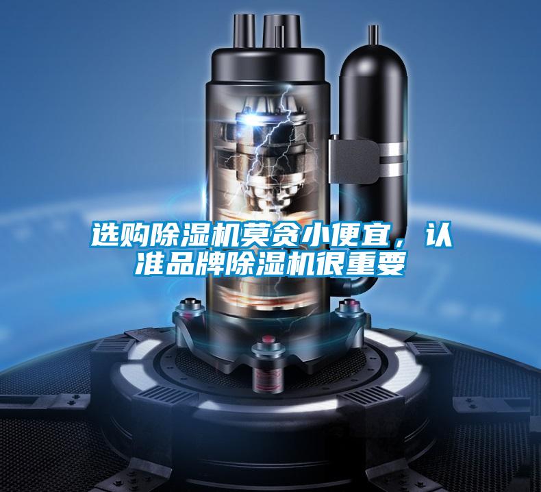 選購(gòu)除濕機(jī)莫貪小便宜，認(rèn)準(zhǔn)品牌除濕機(jī)很重要