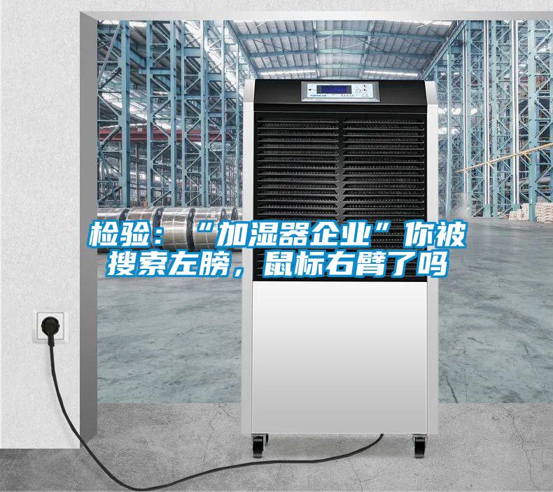 檢驗：“加濕器企業(yè)”你被搜索左膀，鼠標(biāo)右臂了嗎