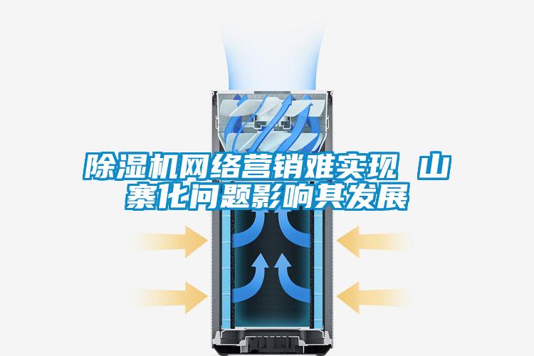 除濕機網絡營銷難實現 山寨化問題影響其發展