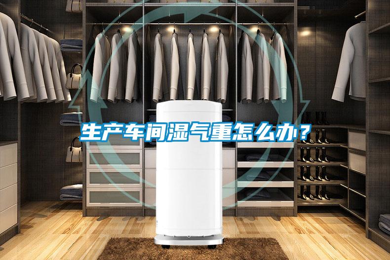 生產(chǎn)車間濕氣重怎么辦？