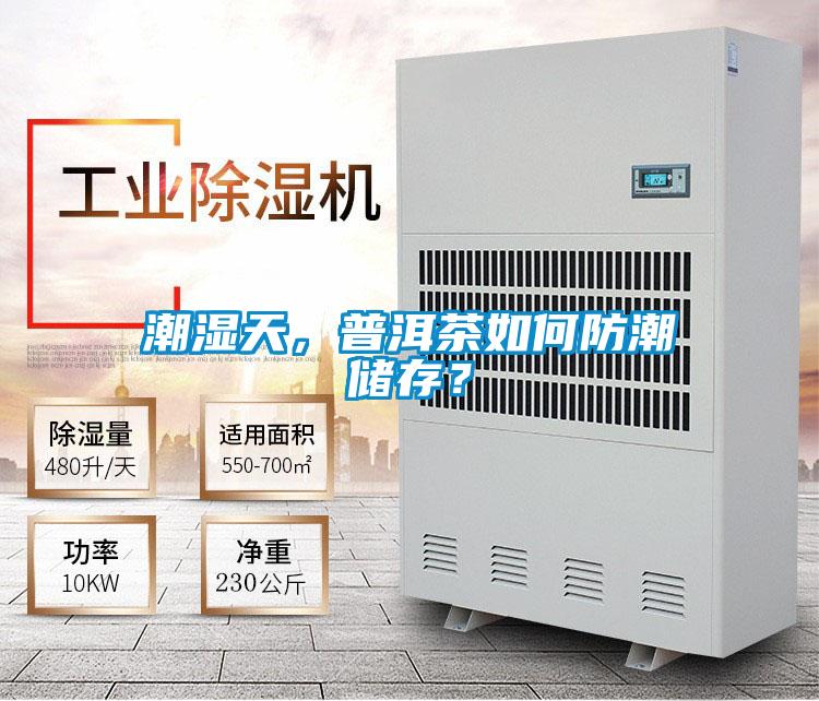 潮濕天，普洱茶如何防潮儲存？