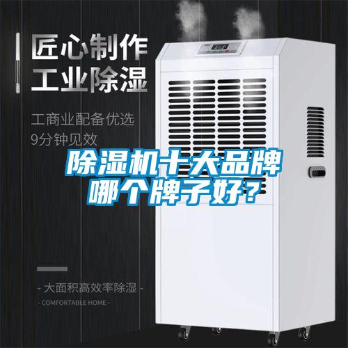 除濕機十大品牌哪個牌子好？