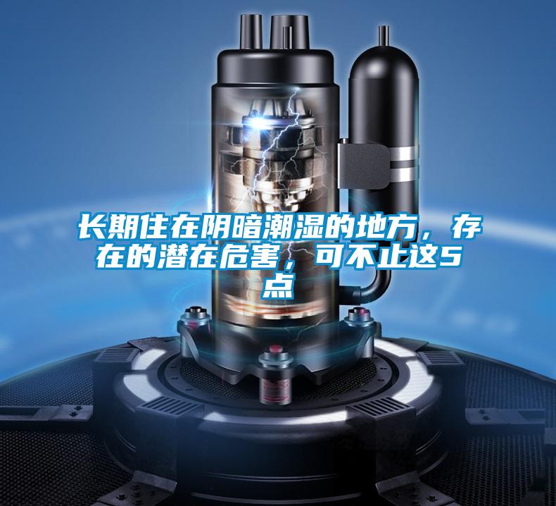 長期住在陰暗潮濕的地方，存在的潛在危害，可不止這5點