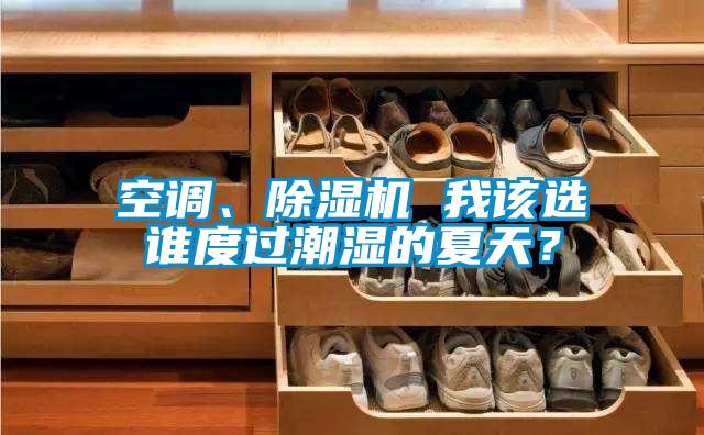空調、除濕機 我該選誰度過潮濕的夏天？