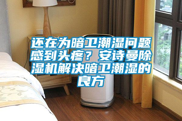 還在為暗衛(wèi)潮濕問題感到頭疼？安詩曼除濕機(jī)解決暗衛(wèi)潮濕的良方