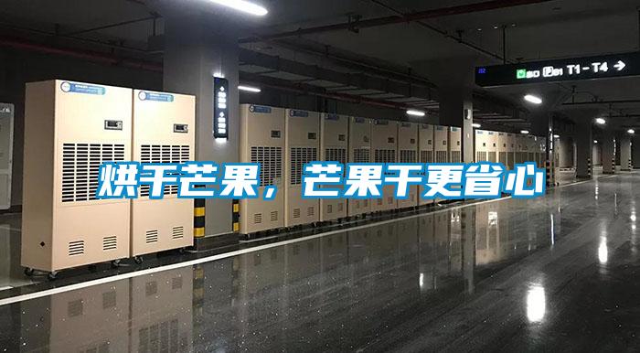 烘干芒果，芒果干更省心