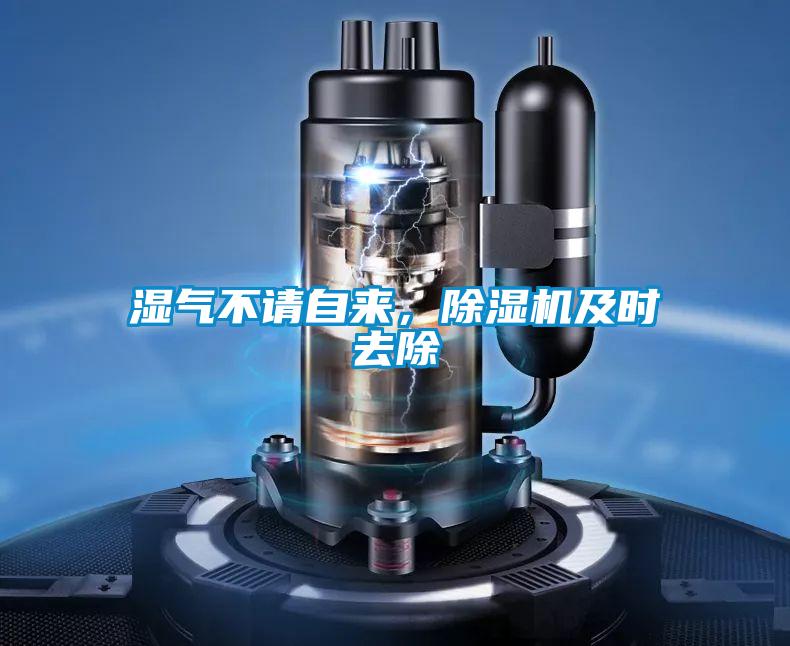 濕氣不請自來,除濕機(jī)及時去除