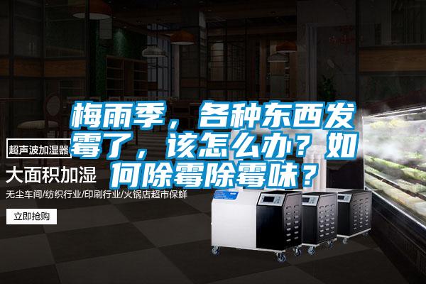 梅雨季，各種東西發霉了，該怎么辦？如何除霉除霉味？