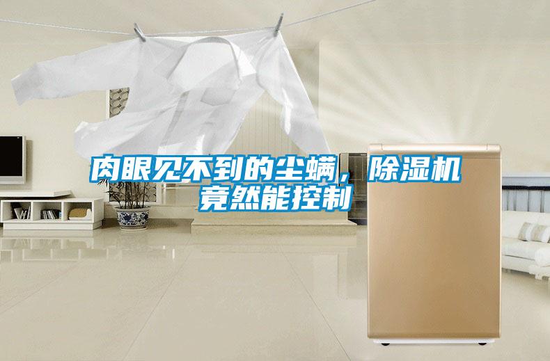 肉眼見不到的塵螨,除濕機(jī)竟然能控制