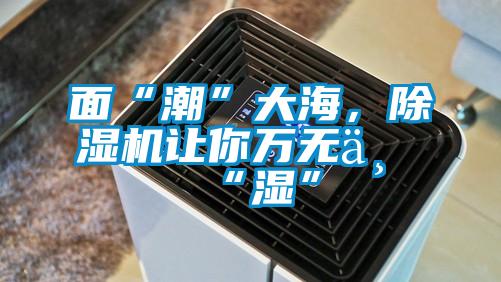 面“潮”大海，除濕機(jī)讓你萬無一“濕”