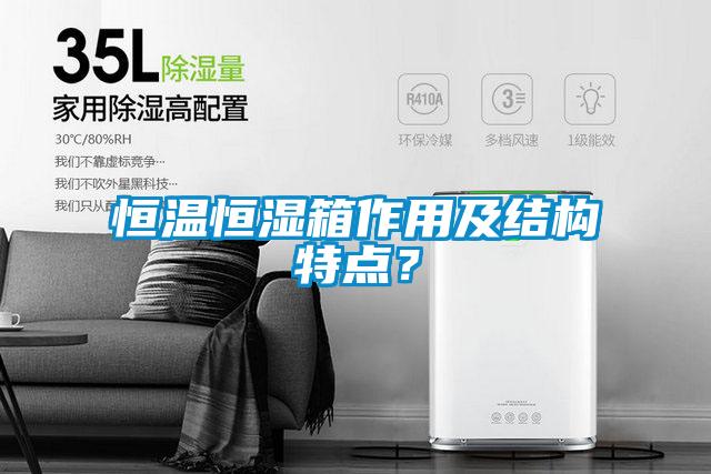恒溫恒濕箱作用及結構特點？