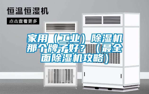 家用（工業）除濕機那個牌子好？（最全面除濕機攻略）