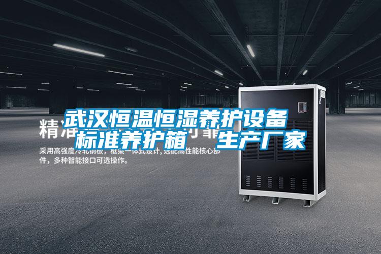 武漢恒溫恒濕養護設備 標準養護箱 生產廠家