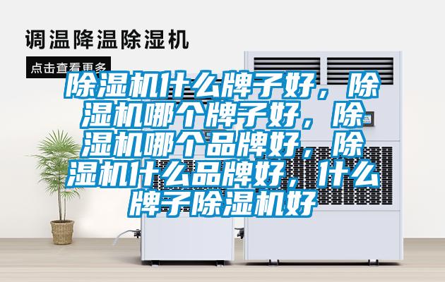 除濕機(jī)什么牌子好，除濕機(jī)哪個(gè)牌子好，除濕機(jī)哪個(gè)品牌好，除濕機(jī)什么品牌好，什么牌子除濕機(jī)好