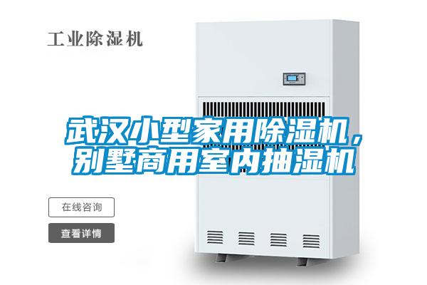 武漢小型家用除濕機(jī),別墅商用室內(nèi)抽濕機(jī)