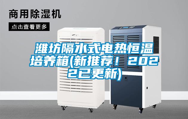 濰坊隔水式電熱恒溫培養(yǎng)箱(新推薦!2022已更新)
