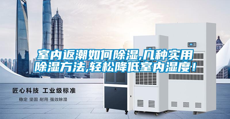 室內(nèi)返潮如何除濕,幾種實用除濕方法,輕松降低室內(nèi)濕度！