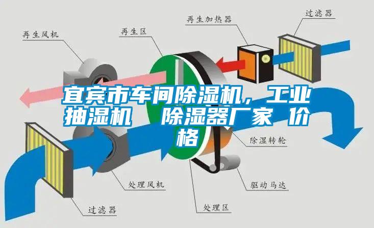 宜賓市車間除濕機(jī)，工業(yè)抽濕機(jī)  除濕器廠家 價(jià)格